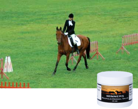 WINNERS® Propolis Herbal Salve